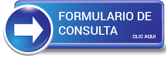 Boton formulario consulta